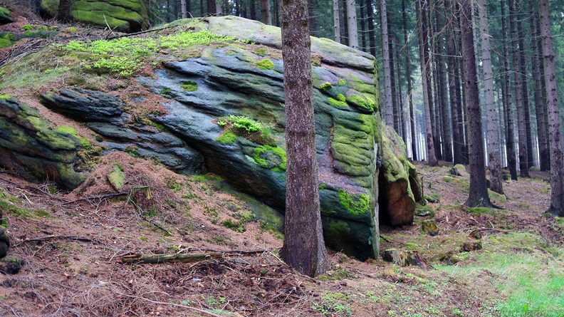 harz_05.jpg