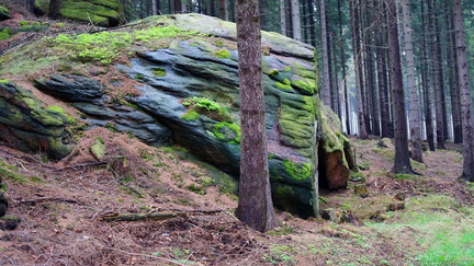 harz 05