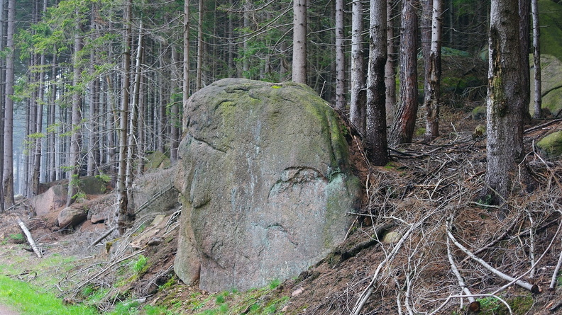 harz_06.jpg