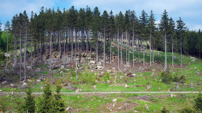 harz_20.jpg