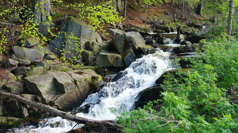 harz_25.jpg