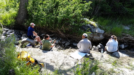 PHOTO 20170411 100112