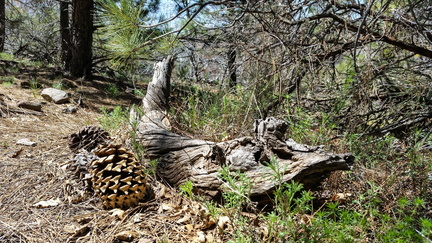 PHOTO 20170413 125031