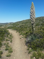 PHOTO 20170414 113652