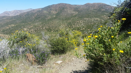 PHOTO 20170414 133324