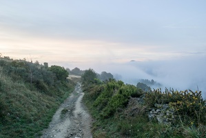 09240011
